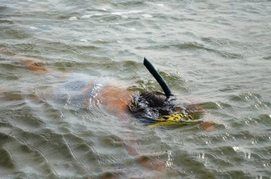 Bir çocuk maskeyle suyun altında yüzüyor ve şoför için şnorkel kullanıyor. Çocuk daldı. Oğlan denize battı. Genç bir çocuk yüzme öğreniyor. Kapat..