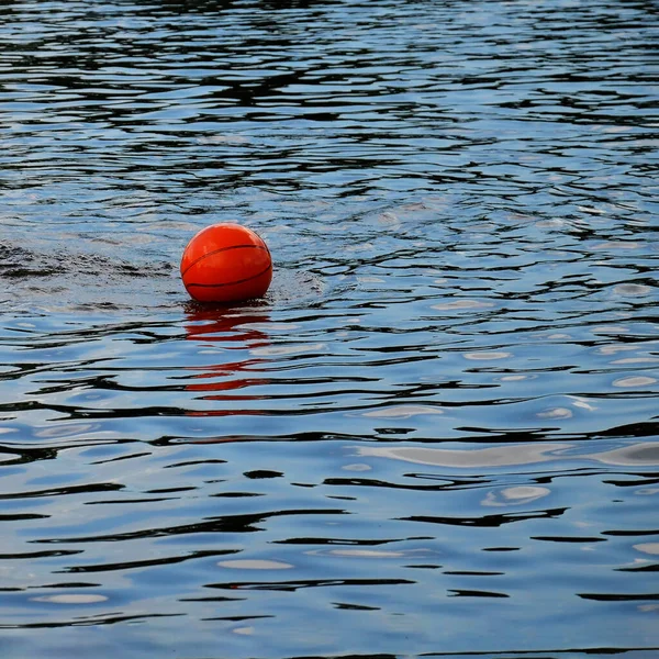Gölde Bir Basketbol Topu Yüzüyor Suyun Yüzeyinde Turuncu Top — Stok fotoğraf