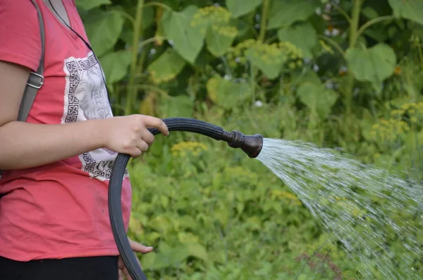 Une fille asperge le jardin. — Photo