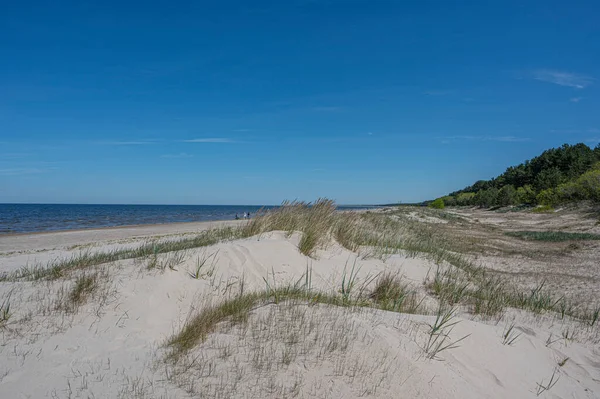 White Dune Baltic Tavasszal Lát Jurmalában Lettországban Strand Fehér Homokkal — Stock Fotó