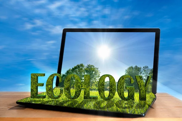 Ökológia Felirat Zöld Füvön Nyílt Laptopról Ökológia — Stock Fotó