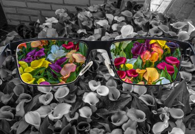 Through glasses frame. View of colorful calla lilies in glasses and monochrome background. Different world perception. Optimism, hopefulness, mental health concept. clipart