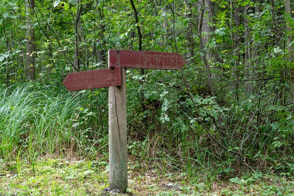 Two arrow rusty brown wooden signs in green forest