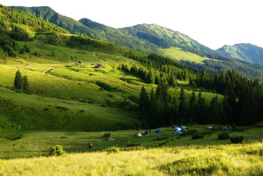 Dağlı ve ormanlı dağ manzarası