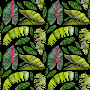 Klasik tarzda tropikal muz yapraklarıyla kusursuz egzotik desen. Orman botanik suluboya çizimi. Duvar kağıdı, tekstil, kumaş, kırtasiye, çocuk kıyafeti, mayo.