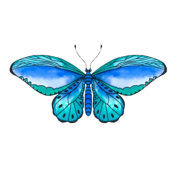 Hermosa Mariposa Acuarela Sobre Fondo Blanco Alas Con Patrones Colores — Foto de Stock