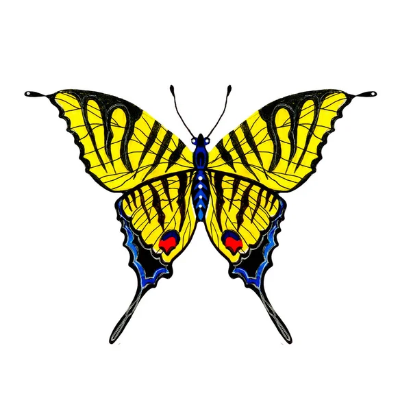 Krásný Akvarel Motýl Bílém Pozadí Křídla Barevnými Vzory Ideální Pro — Stock fotografie