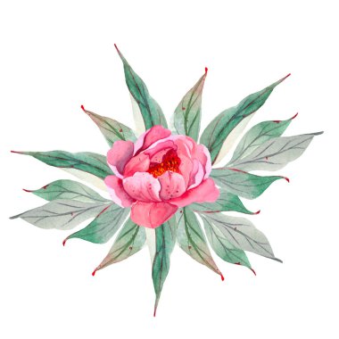 Parlak, taze, zarif suluboya şakayık. Pembe ve kırmızı renkli yaz çiçekleri. Klasik selamlama için bir illüstrasyon. Romantik bahçe çiçekleri. Düğün davetiyeleri, kart tasarımı, doğum günü için..