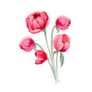 Sulu şakayık ve yeşil yapraklı parlak, zarif bir buket. Pembe ve kırmızı renkli yaz çiçekleri. Romantik bahçe çiçekleri. Düğün davetiyeleri, kart tasarımı, doğum günü için..