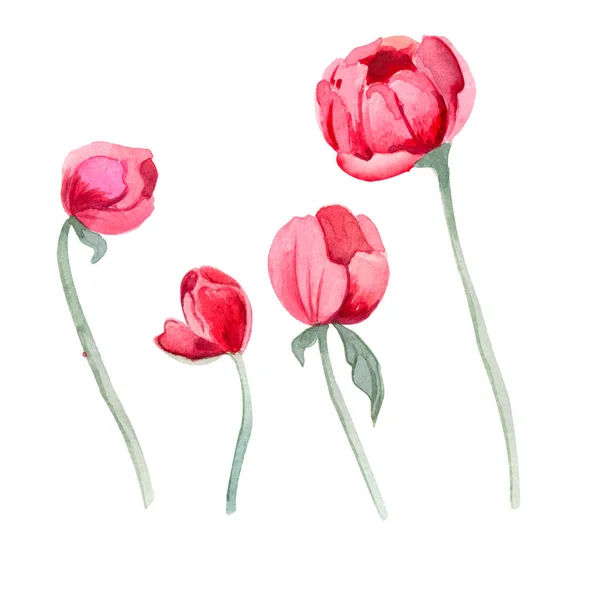 Luminoso Bouquet Elegante Carino Con Peonie Acquerello Foglie Verdi Fiori — Foto Stock