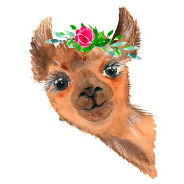 Bir çiçek çelengi ile güzel bir el çizilmiş lama. Bir buket çiçek. Meksika 'dan yünlü Alpaca. Seyahat et. Projeler, bebek partileri, düğün davetiyeleri, kartlar, posterler ve daha fazlası için..
