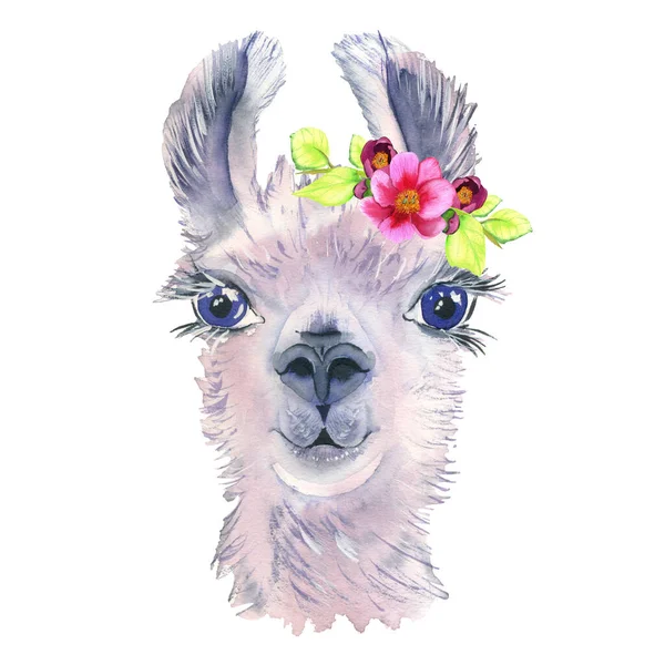Roztomilá Ruka Kreslená Lamou Věnečkem Květin Kytice Květin Woolen Alpaca — Stock fotografie