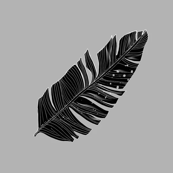 Tropical palm leaves, jungle leaf Isolated on white background. — Stock Vector