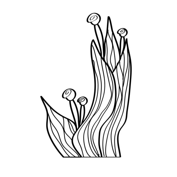 Διάνυσμα Μαύρη Σιλουέτα Ενός Φυτού Στυλ Zentangle Λευκό Φόντο Σχέδιο — Διανυσματικό Αρχείο