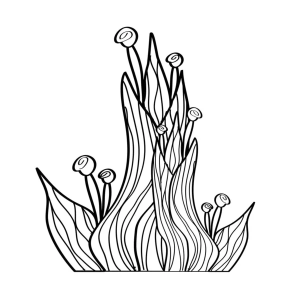 Vektorschwarze Silhouette Einer Pflanze Zentangle Stil Auf Weißem Hintergrund Blumenmuster — Stockvektor