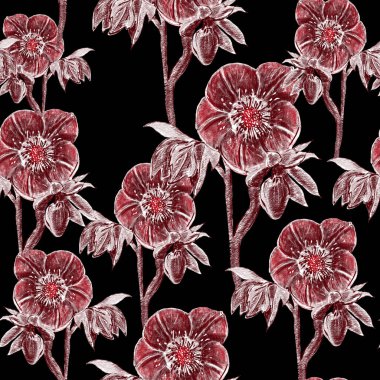 Kusursuz desen. Hellebore Çiçeği, tomurcuk ve yaprak. Çiçek tasarım elementleri. Botanik illüstrasyon. Eski tarz. Mavi ve beyaz. Mürekkep. Düğün davetiyelerinin, tekstil ürünlerinin, kağıtların tasarımı için..