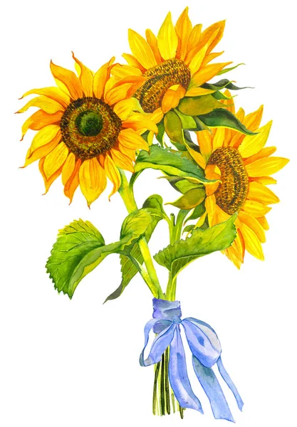 Ein Strauß Gelber Sonnenblumen Gebunden Mit Einer Blauen Schleife Aquarell — Stockfoto