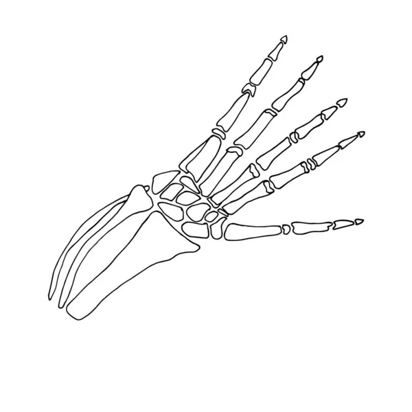 Buon Halloween. Scheletro della mano. Illustrazione vettoriale monocromatica originale in stile retrò. — Vettoriale Stock