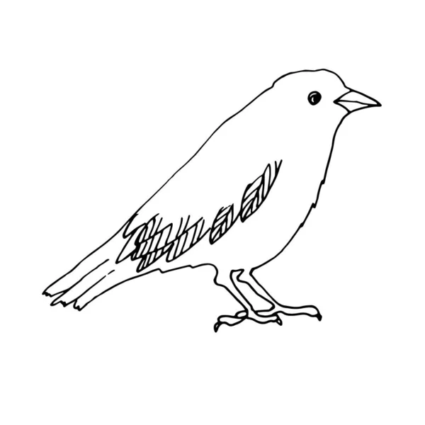 Wesołego Halloween. Kruk ptak siedzi - ilustracja wektor, logo, emblemat czarno-biały, jeden kolor. — Wektor stockowy
