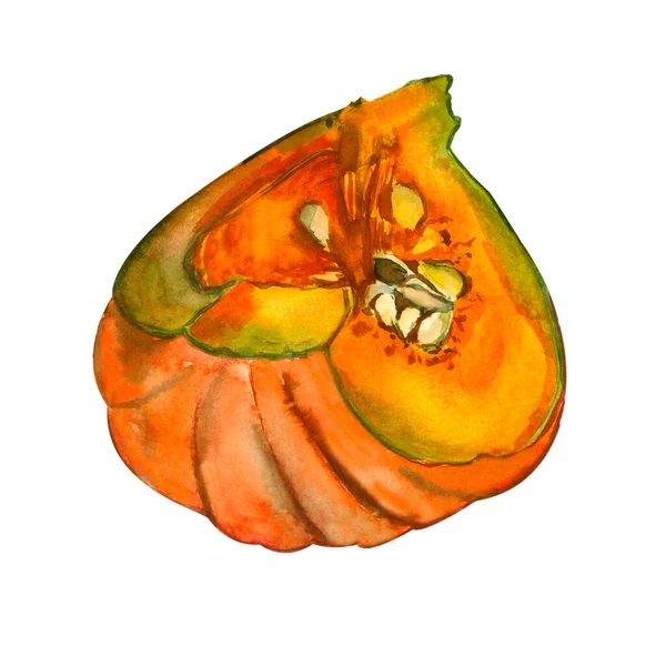 Happy Thanksgiving Pumpkin. Watercolor painting on a white background. Autumn harvest.