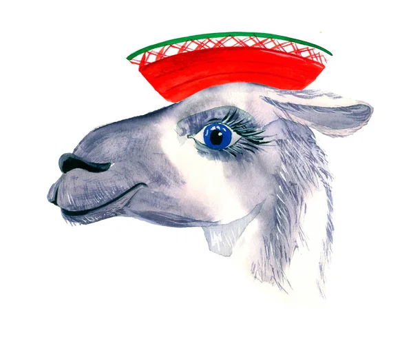 Ładny Ręcznie Rysowany Lama Narodowym Meksykańskim Kapeluszu Śmieszne Zwierzę Woolen — Zdjęcie stockowe