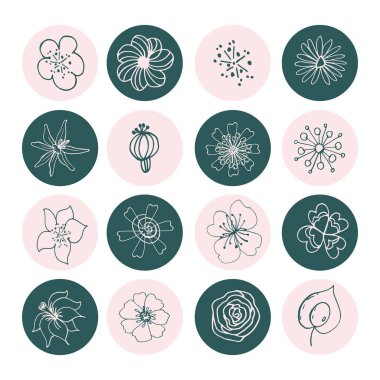 Çiçekler düz çizgi simgeleri. Çiçekçi dükkanı için ince bir tabela. Instagram hikayeleri, kapakları vurgular. Instagram simgeleri. Sosyal ağlar hikaye simgelerini vurguluyor. İş ikonları. Sosyal medya. Vektör