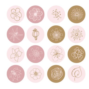 Çiçekler düz çizgi simgeleri. Çiçekçi dükkanı için ince bir tabela. Instagram hikayeleri, kapakları vurgular. Instagram simgeleri. Sosyal ağlar hikaye simgelerini vurguluyor. İş ikonları. Sosyal medya. Vektör