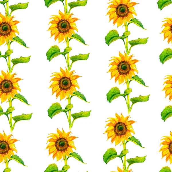 Fondo Sin Costuras Con Girasoles Acuarela Colección Elementos Decorativos Diseño —  Fotos de Stock