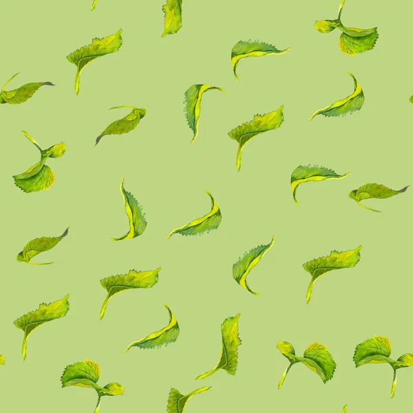 Nahtloser Hintergrund Mit Grünen Blättern Aquarell Sonnenblumenblätter Kollektion Dekorative Florale — Stockfoto