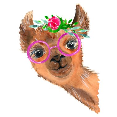 Bir çiçek çelengi ile güzel bir el çizilmiş lama. Bir buket çiçek..