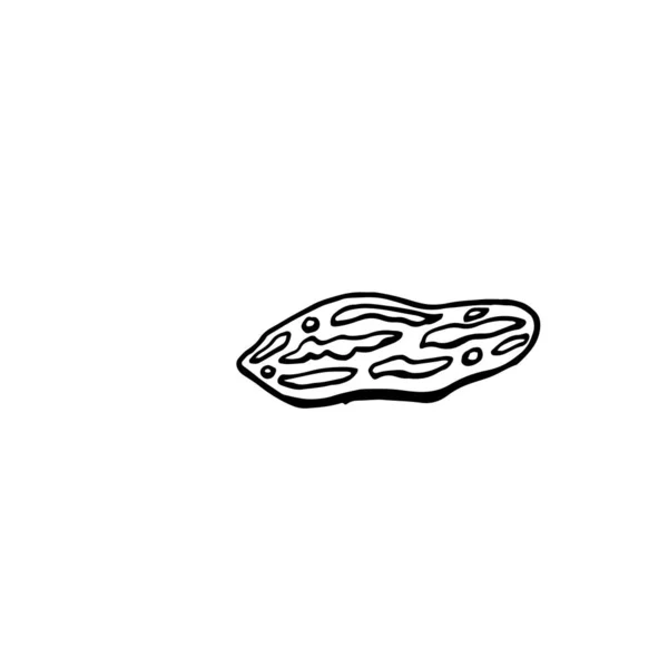 Ilustração Contorno Vetorial Desenhado Mão Amendoim Ilustração Doodle Vegetarianismo Sobremesa —  Vetores de Stock