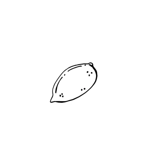 Citricストックベクター ロイヤリティフリーcitricイラスト ページ 8 Depositphotos Citricストックベクター ロイヤリティフリーcitricイラスト ページ 8 Depositphotos