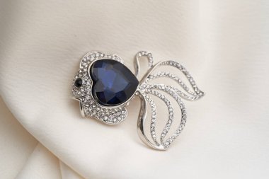 Küçük elmaslı balık şeklinde gümüş bir broş.