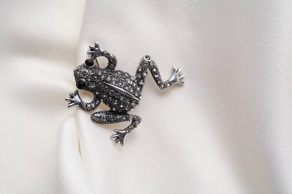 白い背景に孤立した小さなダイヤモンドを持つカエルのような銀のブローチ — ストック写真