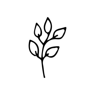 Doodle ikon bırakıyor. El çizimi yaprak simgesi. Vektör olarak karalama bitkisi simgesi. Vektörde elle çizilmiş bitki simgesi