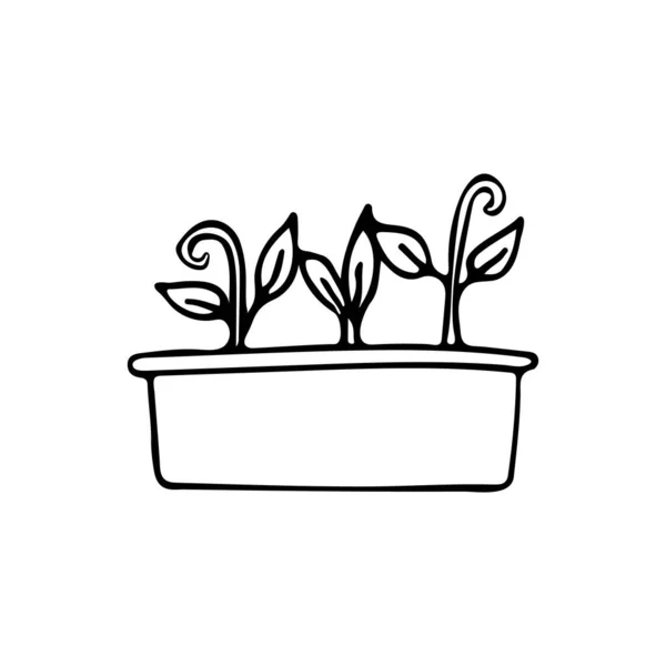 Gekritzelte Gartenpflanzen Ikone Vektor Doodle Haus Pflanze Symbol Vektor Gekritzeltes — Stockvektor