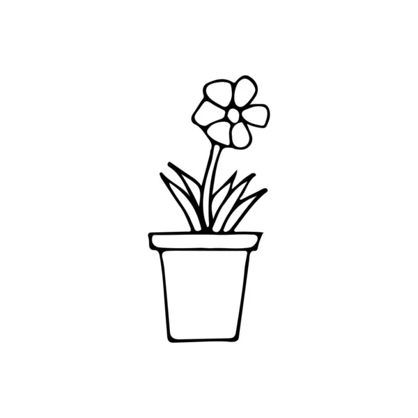 Gekritzelte Illustration Der Hausblume Gezeichnete Doodle Illustration Der Hausblume Doodle — Stockvektor