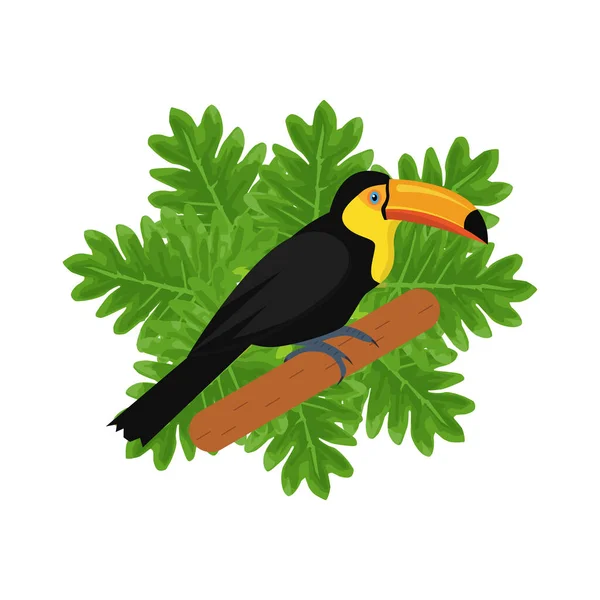 Illustration Toucan Isolée Avec Feuilles Tropicales Dans Vecteur Illustration Oiseaux — Image vectorielle