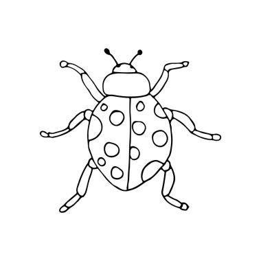 Vektör olarak uğur böceği karalama simgesi. Vektörde el çizimi uğur böceği çizimi