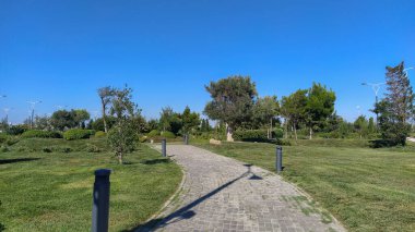 Bakü Bulvarı 'ndaki yeşil park manzarası. Bakü Bulvarı 'nın içindeki güzel yeşil park.