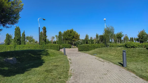 Green park scenery in Baku boulevard. Beautiful green park inside of Baku Boulevard