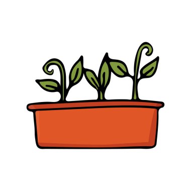 Vektör olarak renkli bahçe bitkisi simgesi. Vektör içinde ev bitkisi simgesinin renkli karalama çizimi. 