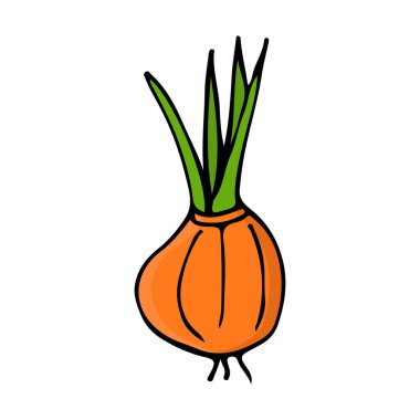 Renkli karalama soğan iillustrasyonu. Vektörde renkli oninon simgesi