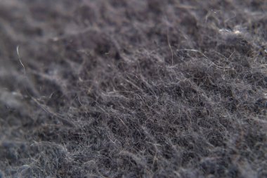 bir ekosenin makro fotoğrafçılığı