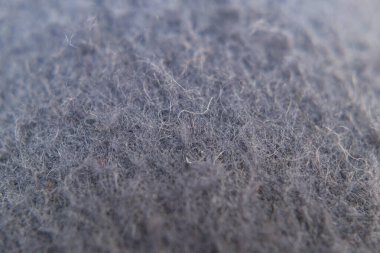 bir ekosenin makro fotoğrafçılığı