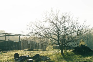 Sabah erkenden dağlarda bir köy.