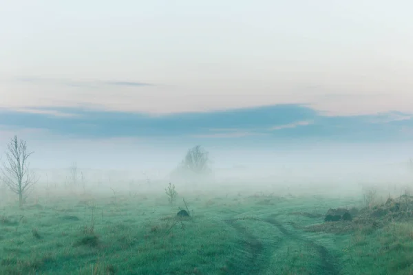 Route Campagne Allant Dans Brouillard — Photo