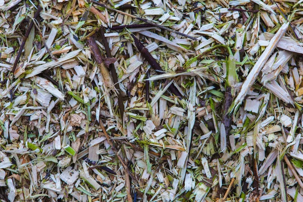 Texture Fresh Wood Chips — Stock Photo, Image