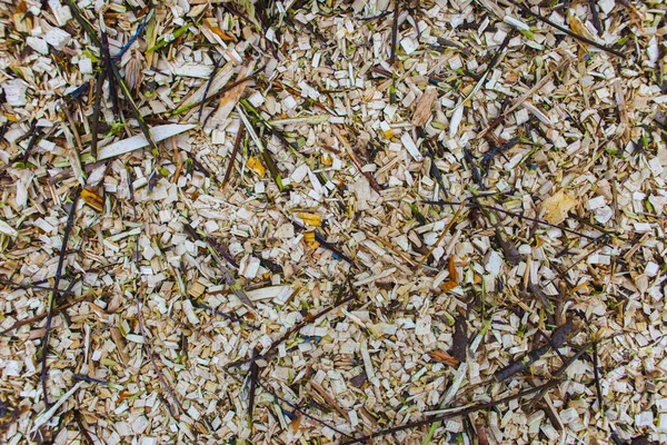 Texture Fresh Wood Chips — Stock Photo, Image