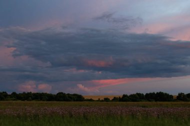 Koyu mavi bulutlar pembe günbatımı gökyüzünden